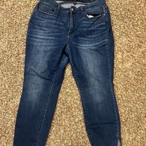 Judy Blue Blue Skinny Jeans
